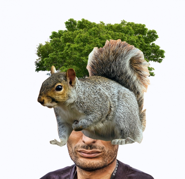 Creation of Hair Nest: Step 6